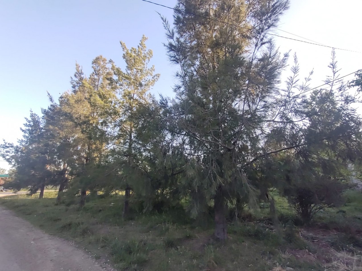 Lotes en Barrio "Los Troncos"