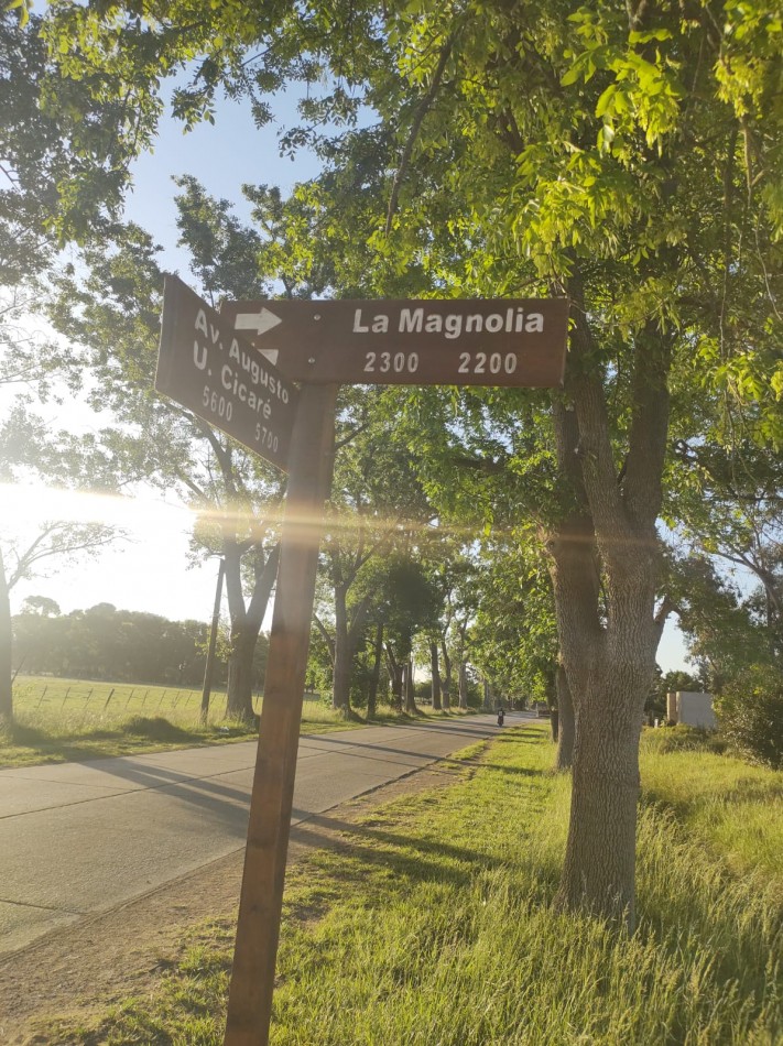 Lotes en Barrio "Los Troncos" 