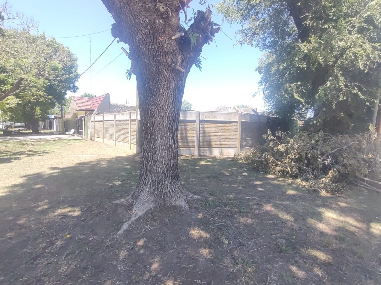 Lote con casa a reciclar