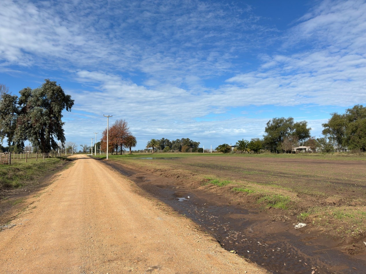 Terrenos en venta - Barrio  San Jose  Saladillo-