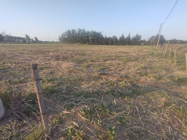 Lote en Venta