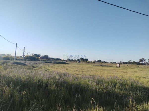 Lote en venta
