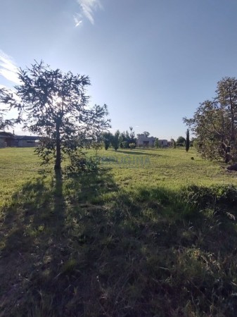 Venta de lote