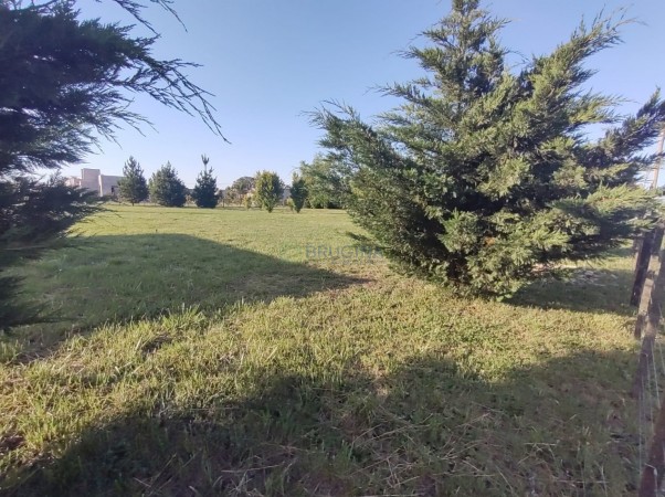 Venta de lote