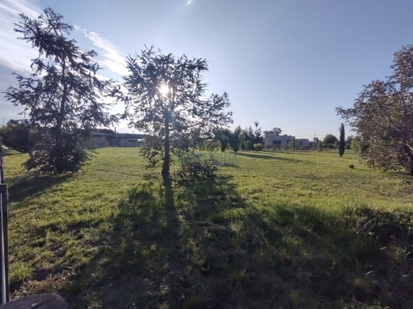 Venta de lote