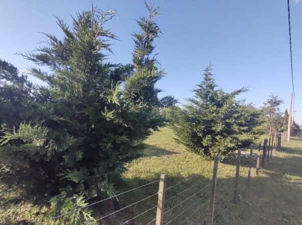 Venta de lote