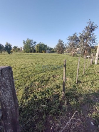 Venta de lote