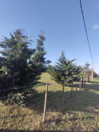 Venta de lote