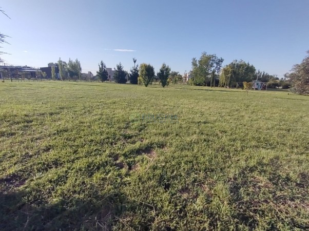 Venta de lote