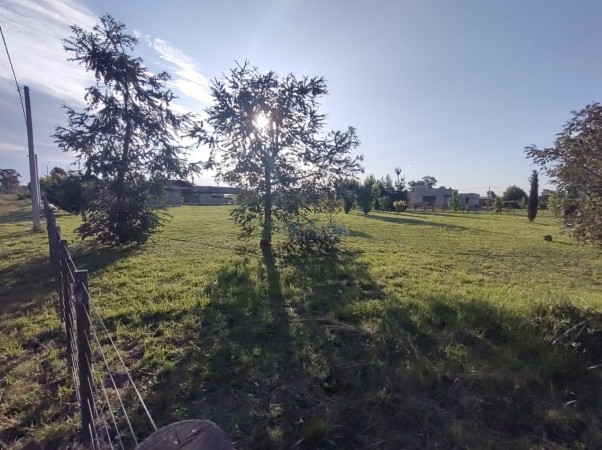 Venta de lote